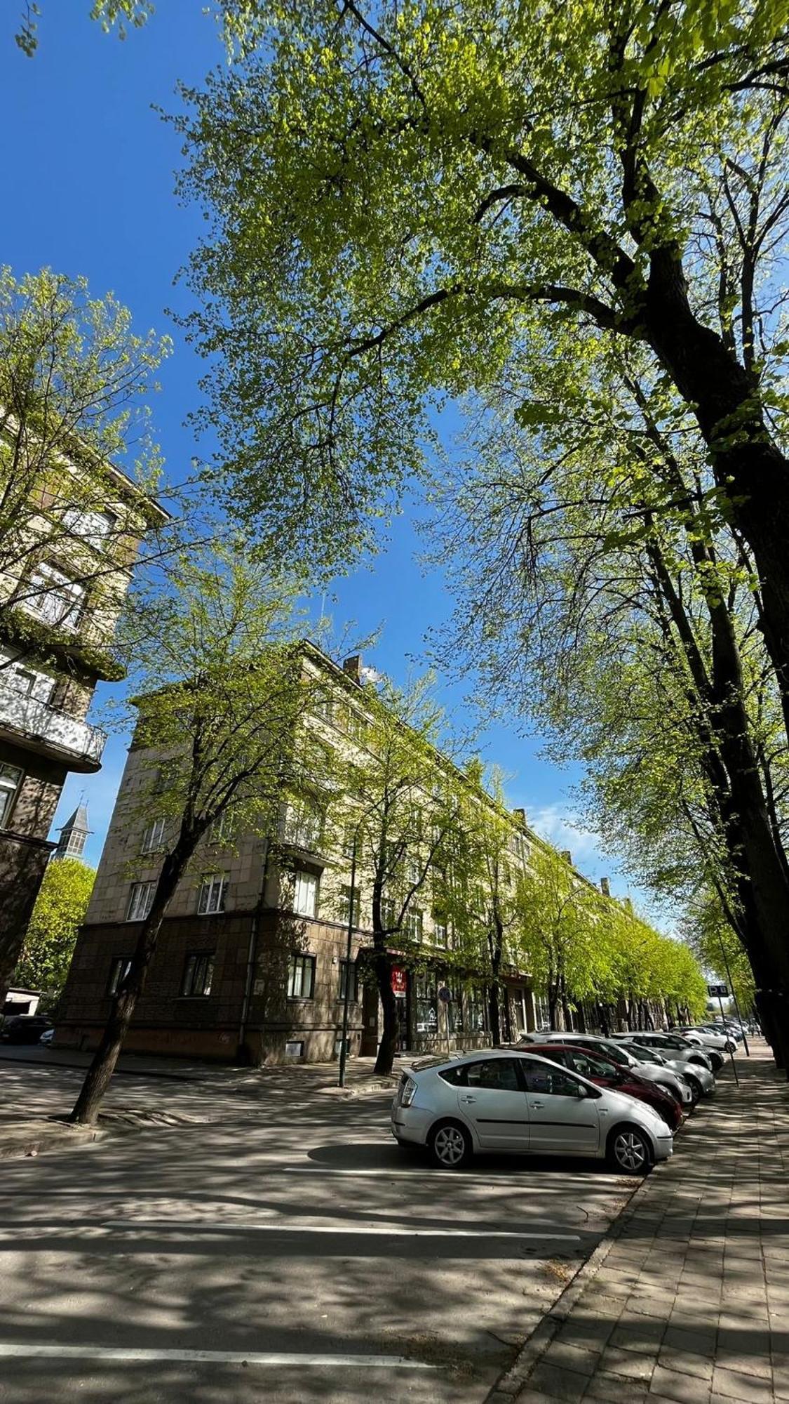 Heritage House Dane Apartment ไคลเพดา ภายนอก รูปภาพ